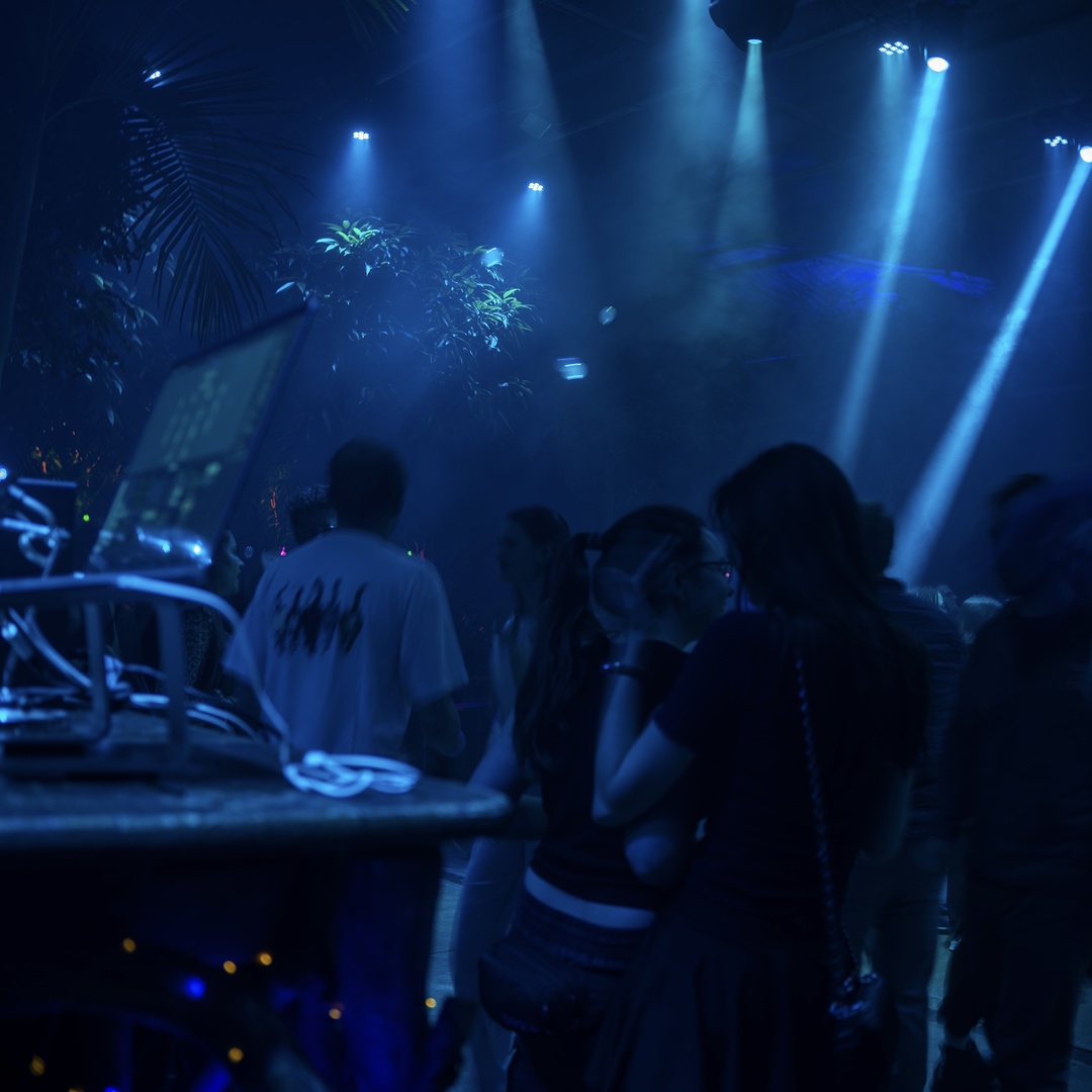 Galanthus Rave impression 3