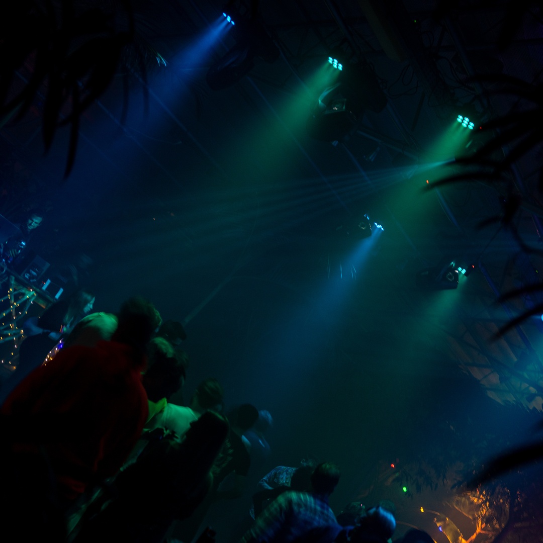 Galanthus Rave impression 4